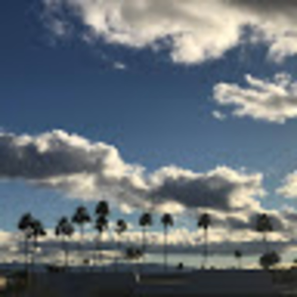 Meet your Posher, Theresa